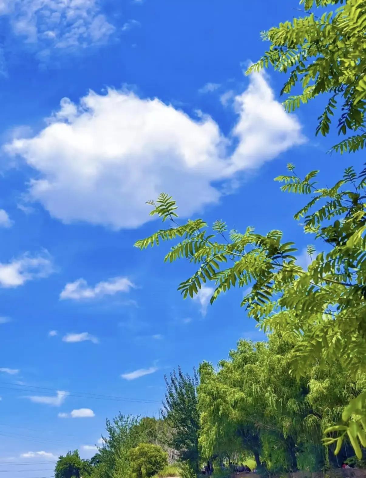 能否分享一下你拍摄的天空