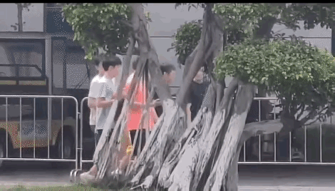 树上的猴子有福了，梁靖崑居然主动和他们打招呼。最后一天了，这是和他们挥手好好告别
