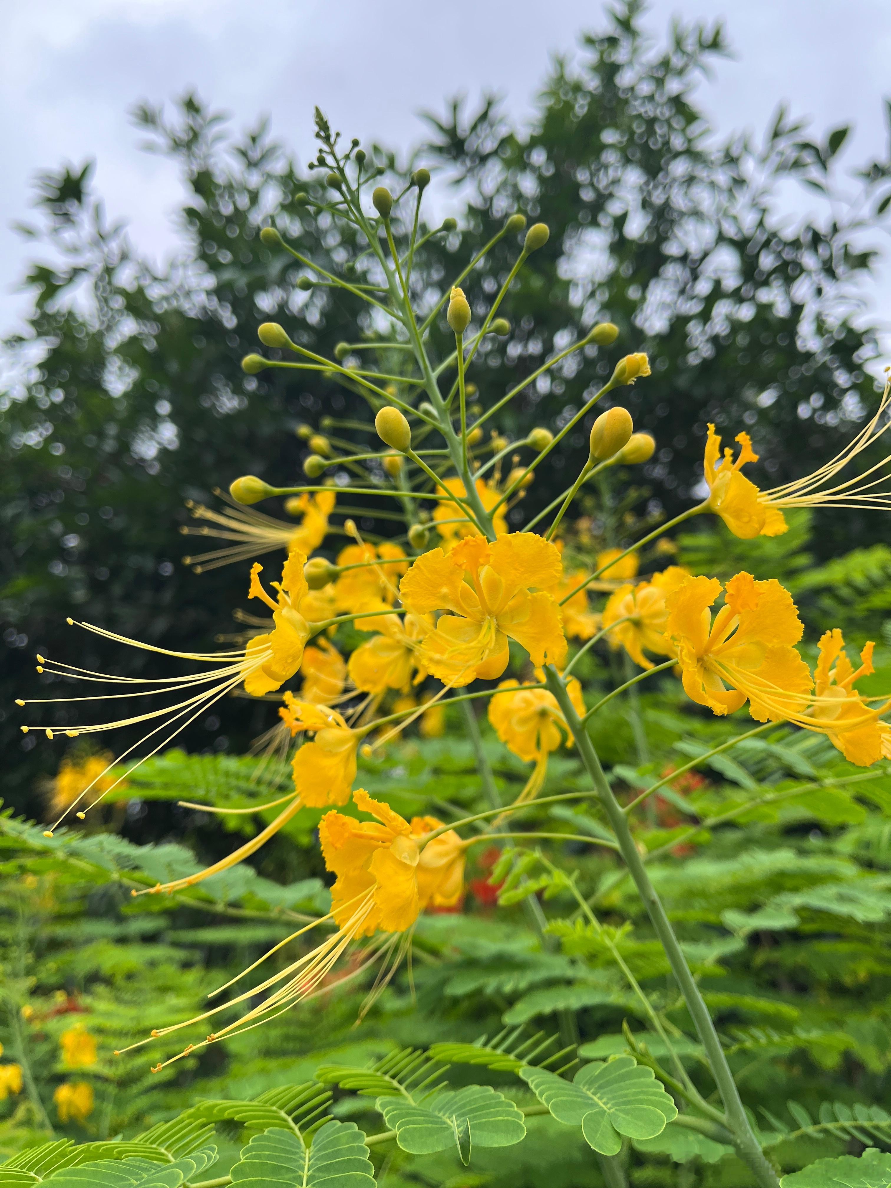 当物质上跪着的时候，灵魂要站着，这叫自强不息。当物质上站起来的时候灵魂低下来，这