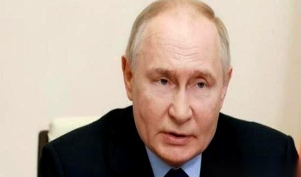 我跟你说个最扎心的常识。打群架的时候，一个兄弟给你递了根棍子，另一个兄弟二话不