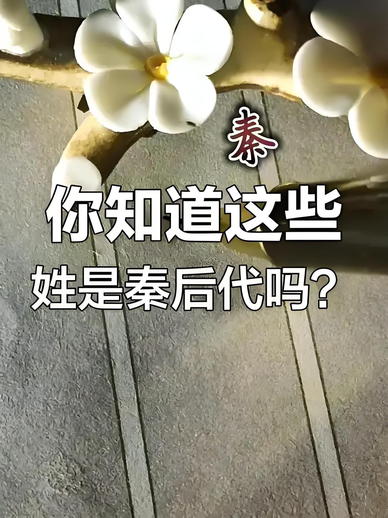 项羽没杀干净？秦始皇后代隐姓埋名2000年，这4个姓氏藏着帝王血脉！项羽当