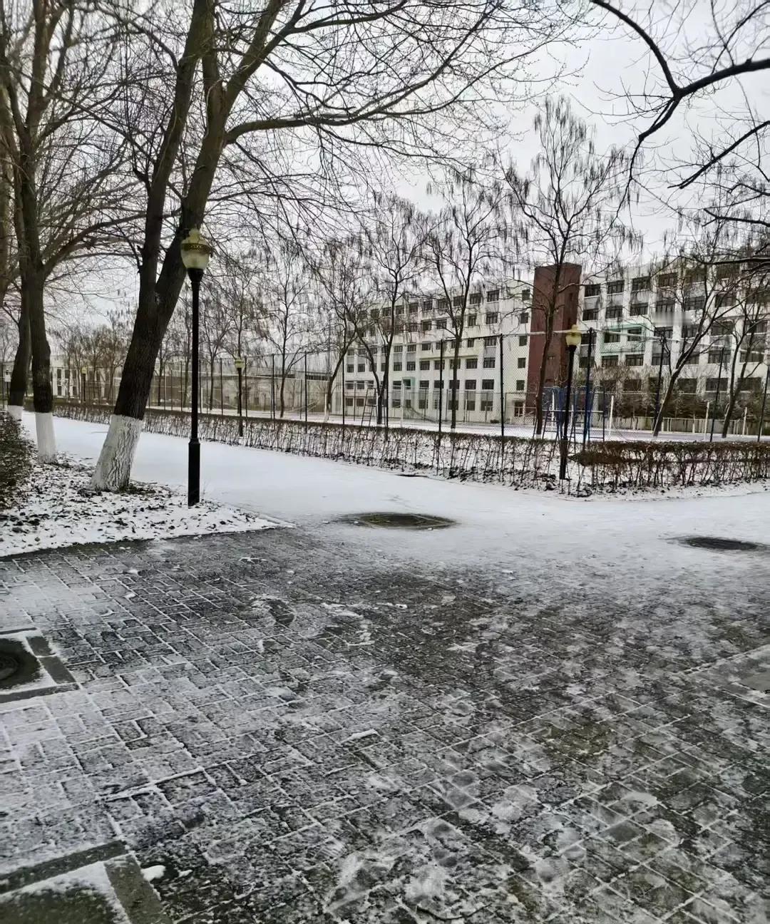 沈阳网友自称特派员给我发线报，说雪已经下厚，街头面店热汤面还是八块。我盯着手机愣