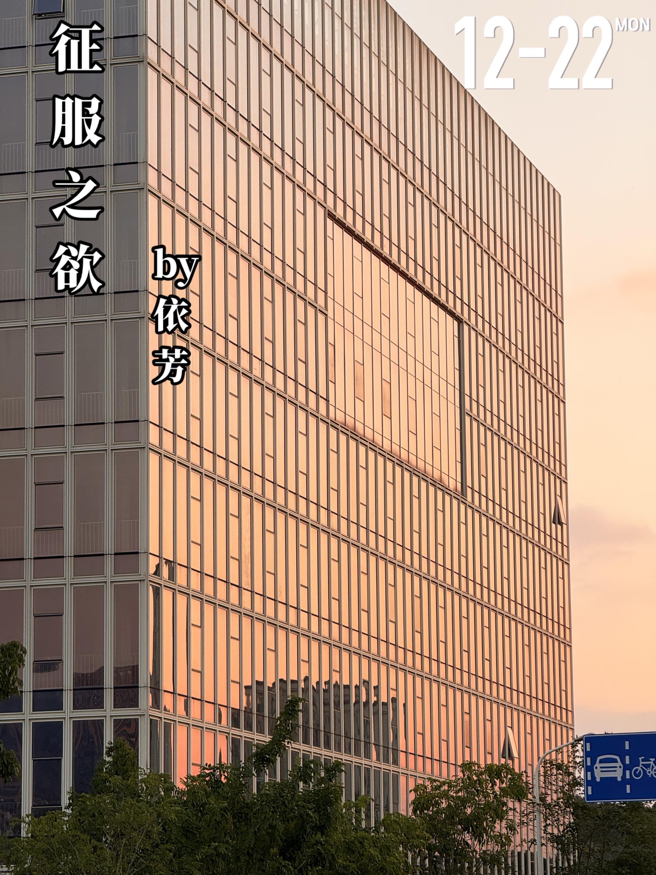 《征服之欲》by依芳。张萝芙（女主）是从小备受宠爱的大小姐，而张宁坤...