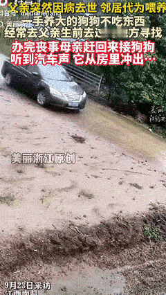 万物有灵！一男子父亲突然因病去世，家养小狗被送到邻居家代喂养，结果小狗不吃不喝守