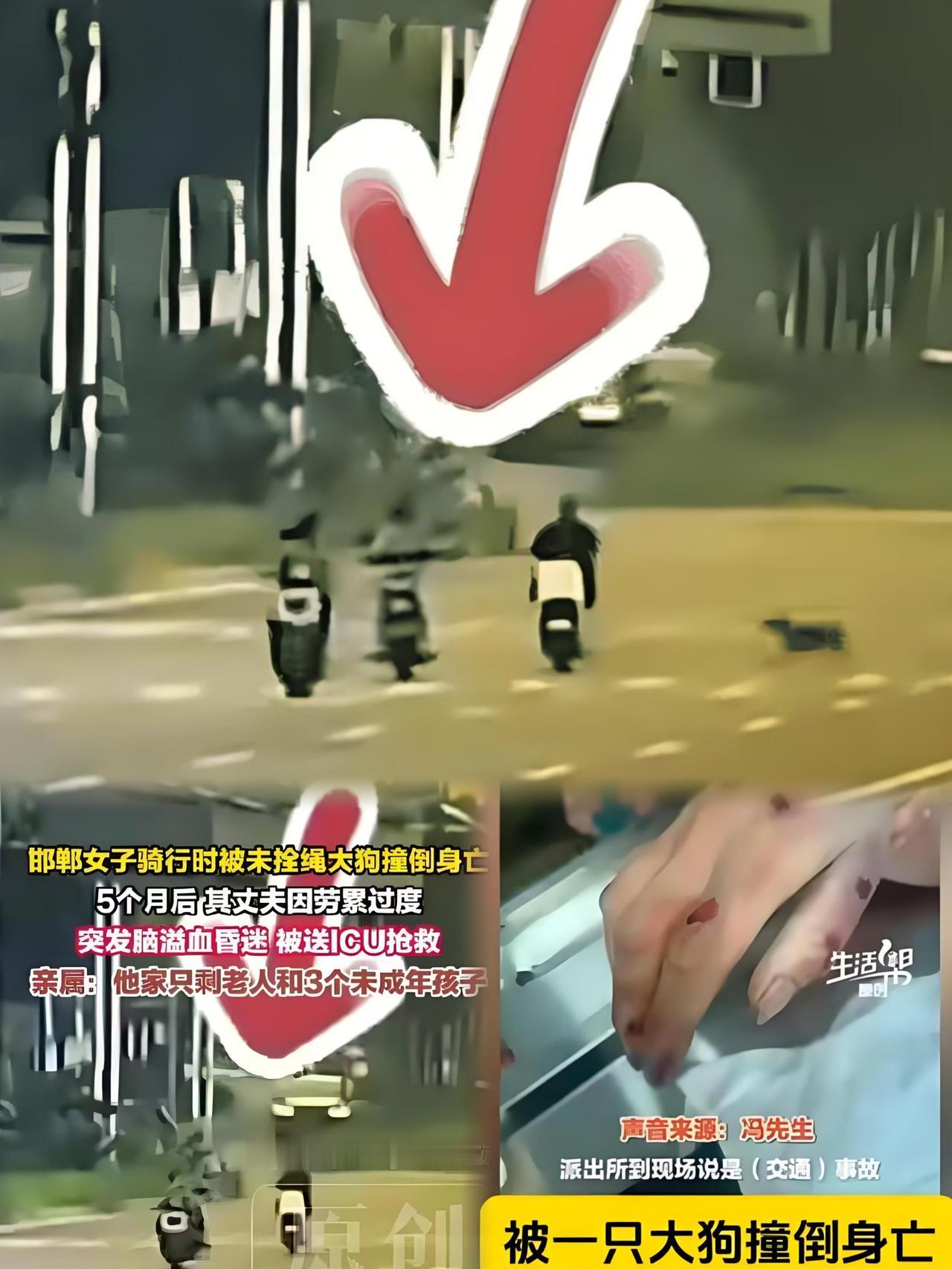 揪心！邯郸一家5月两遭横祸恶犬夺命后顶梁柱累垮进ICU河北邯郸一户普通人