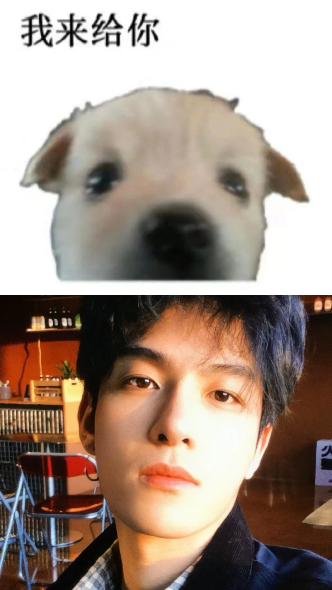 发现一个很好代的meme梗图🐾