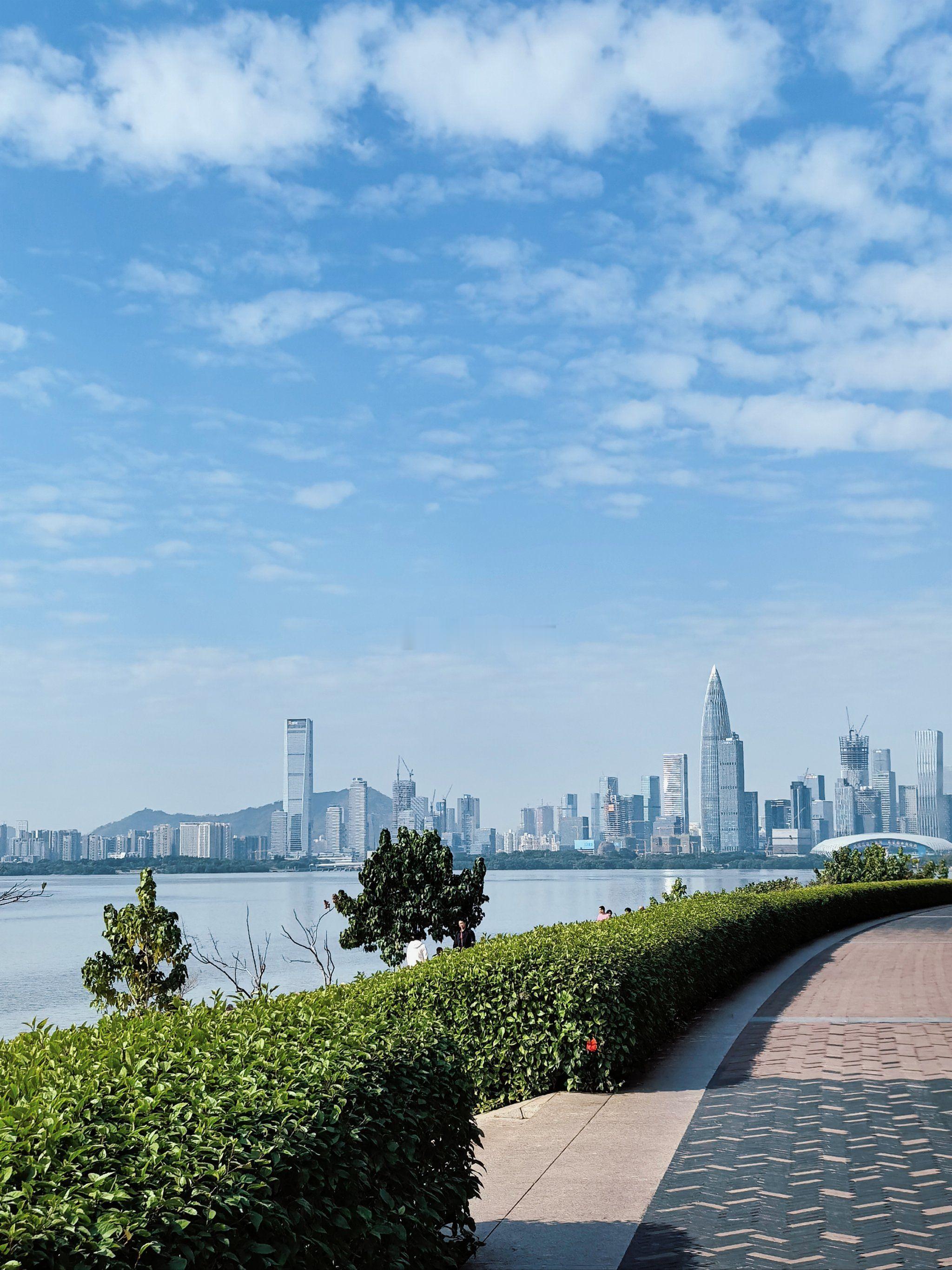 2025年深圳楼市，是二手房加速触底的一年。在政策面较去年相对减弱的情况下，庞大