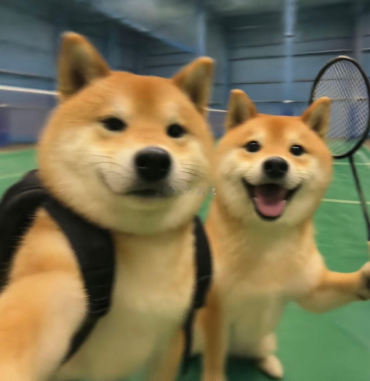 暴汗🏸​​​