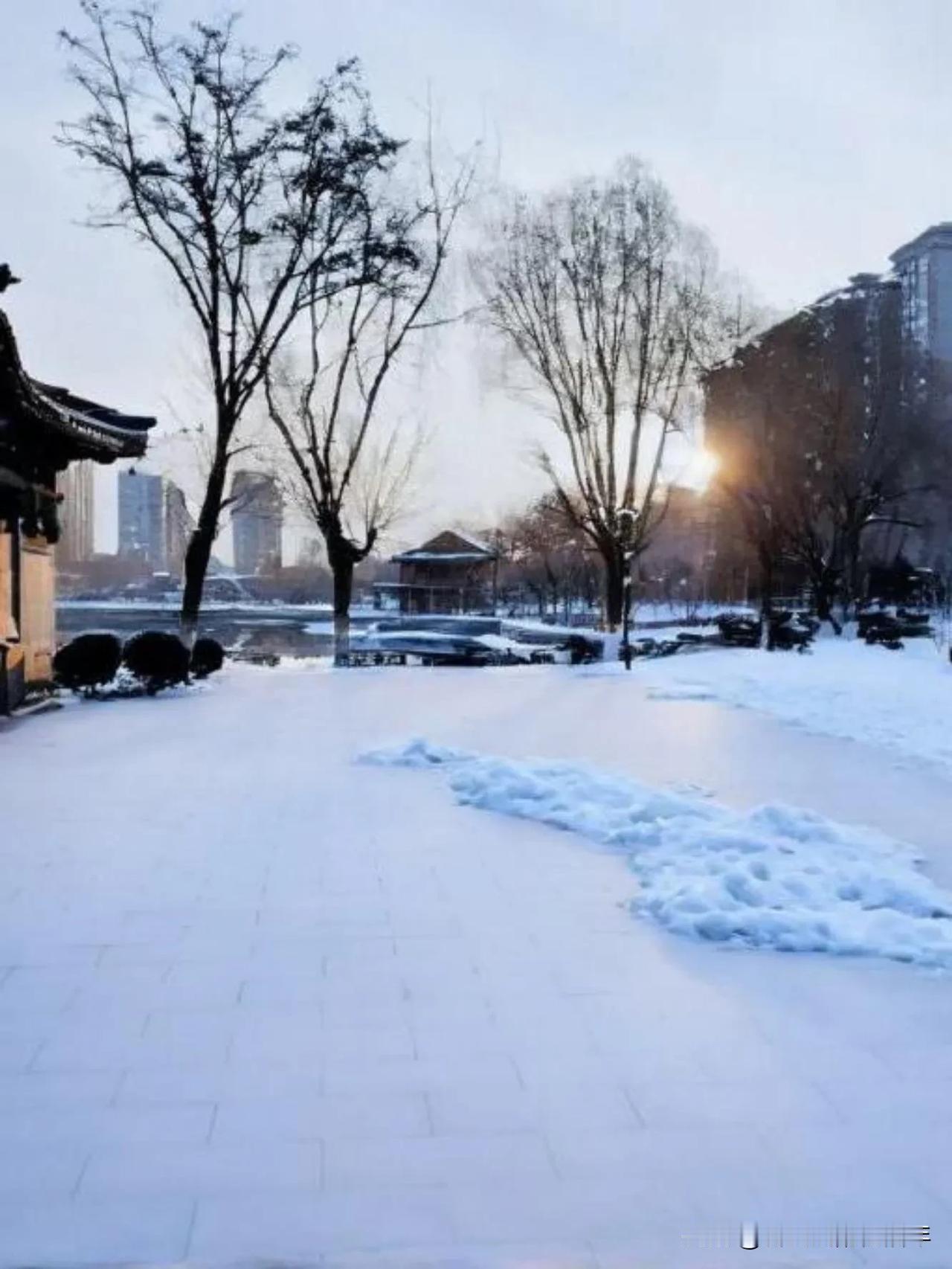 这下河北大雪预报终于准了不半回，大雪纷飞，河北的雪总算应了预报，大片大片簌簌落下