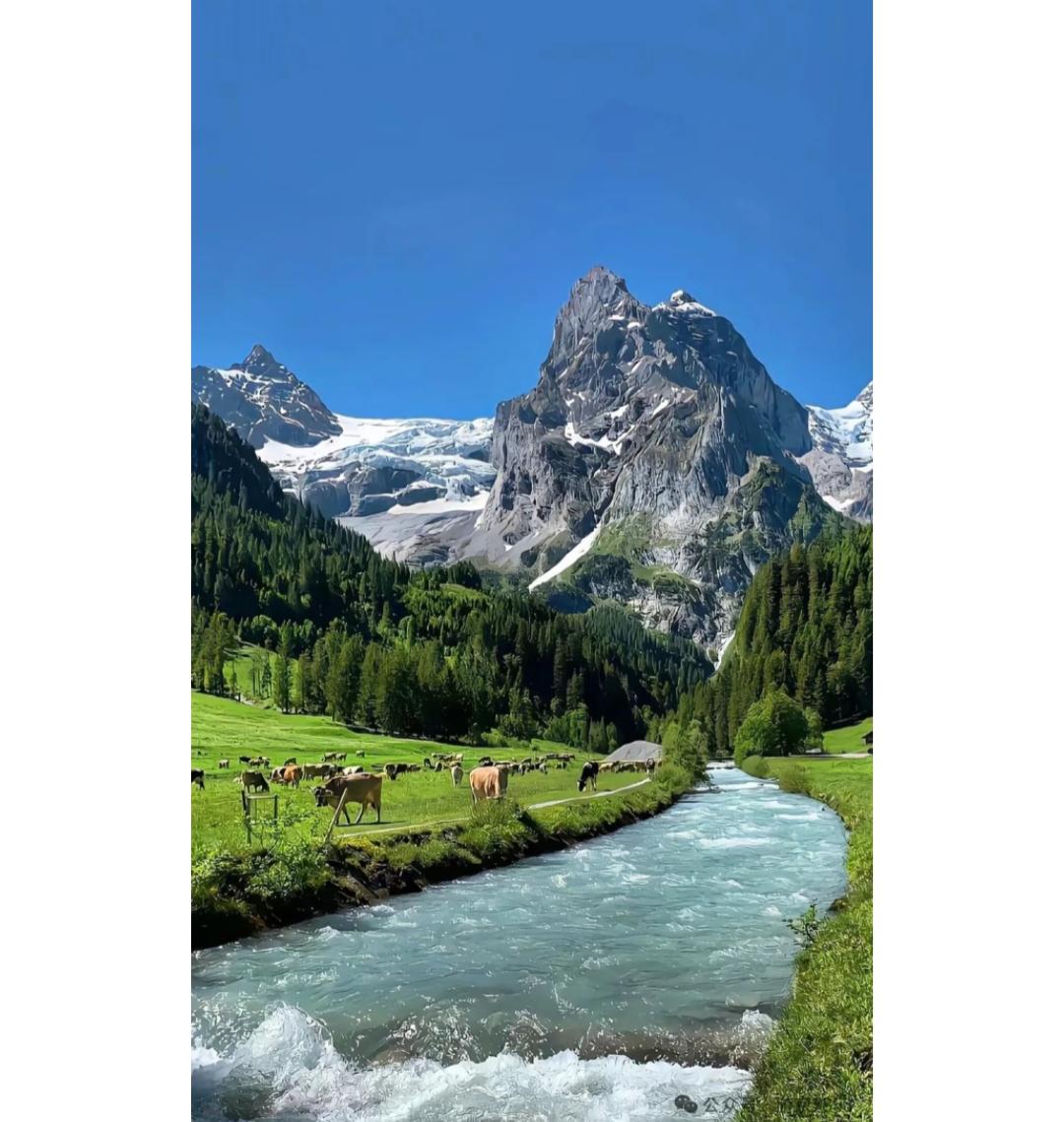 一个真正见过世面是什么样子的?见过世面的最高境界：不炫耀、不解释、不较劲