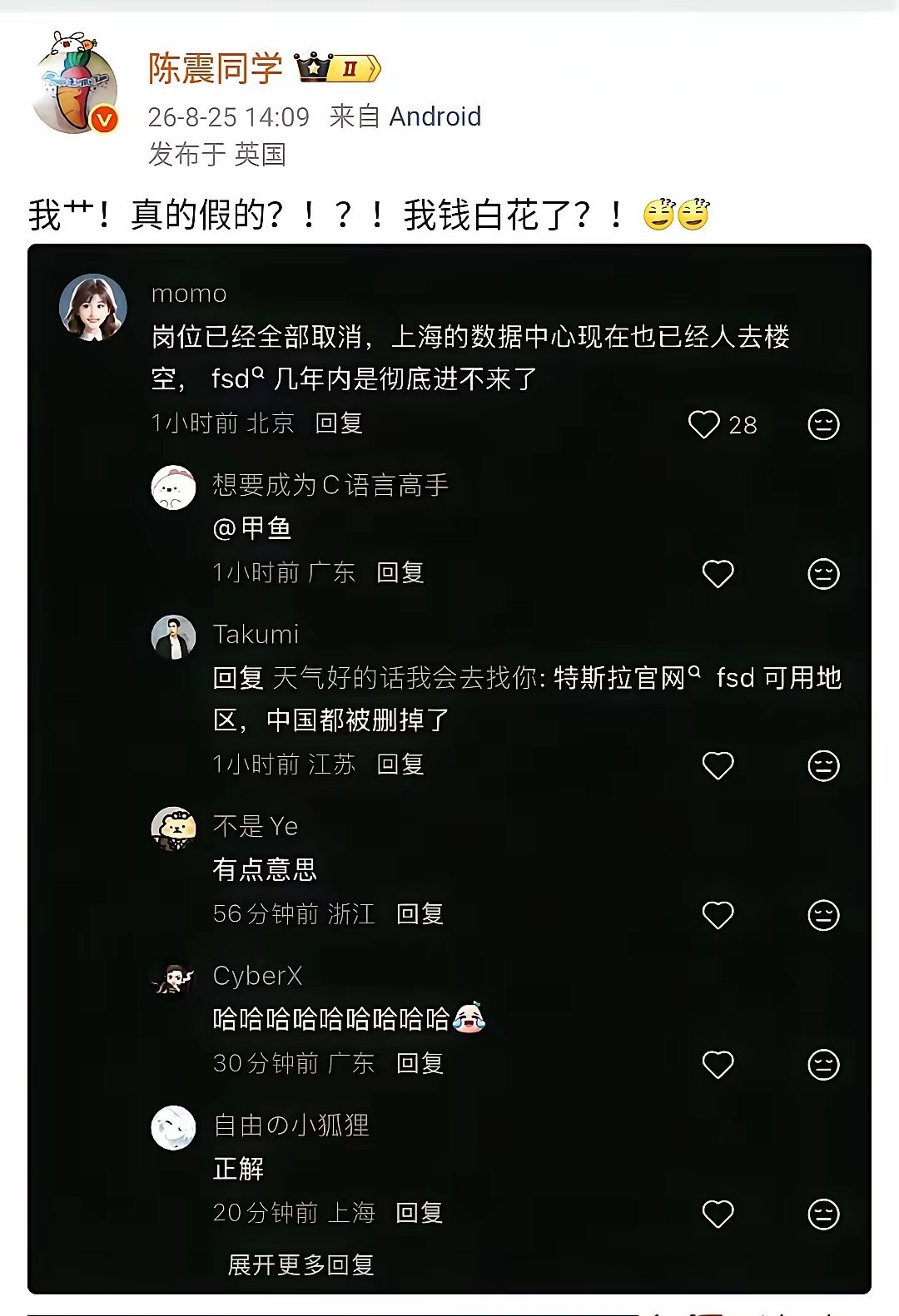 陈震表示，特拉斯的FSD进不来中国，对他打击太大了。但近期看了蓝战非使用美国特拉