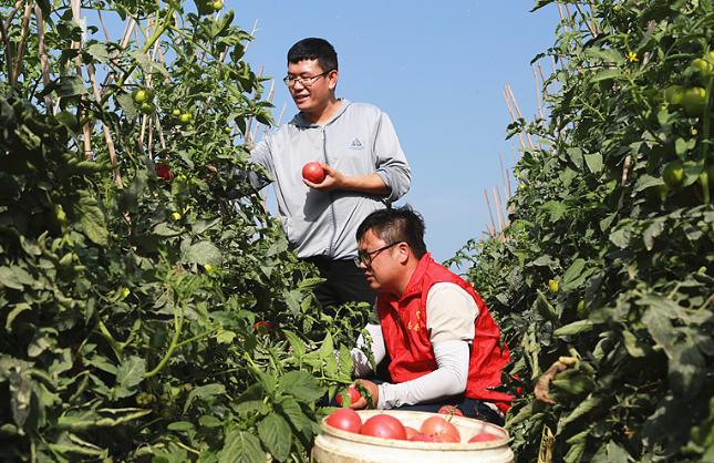 以为回村是“混不下去”？山东寿光一个26岁小伙，两年前还在工厂打螺丝、送外卖，一