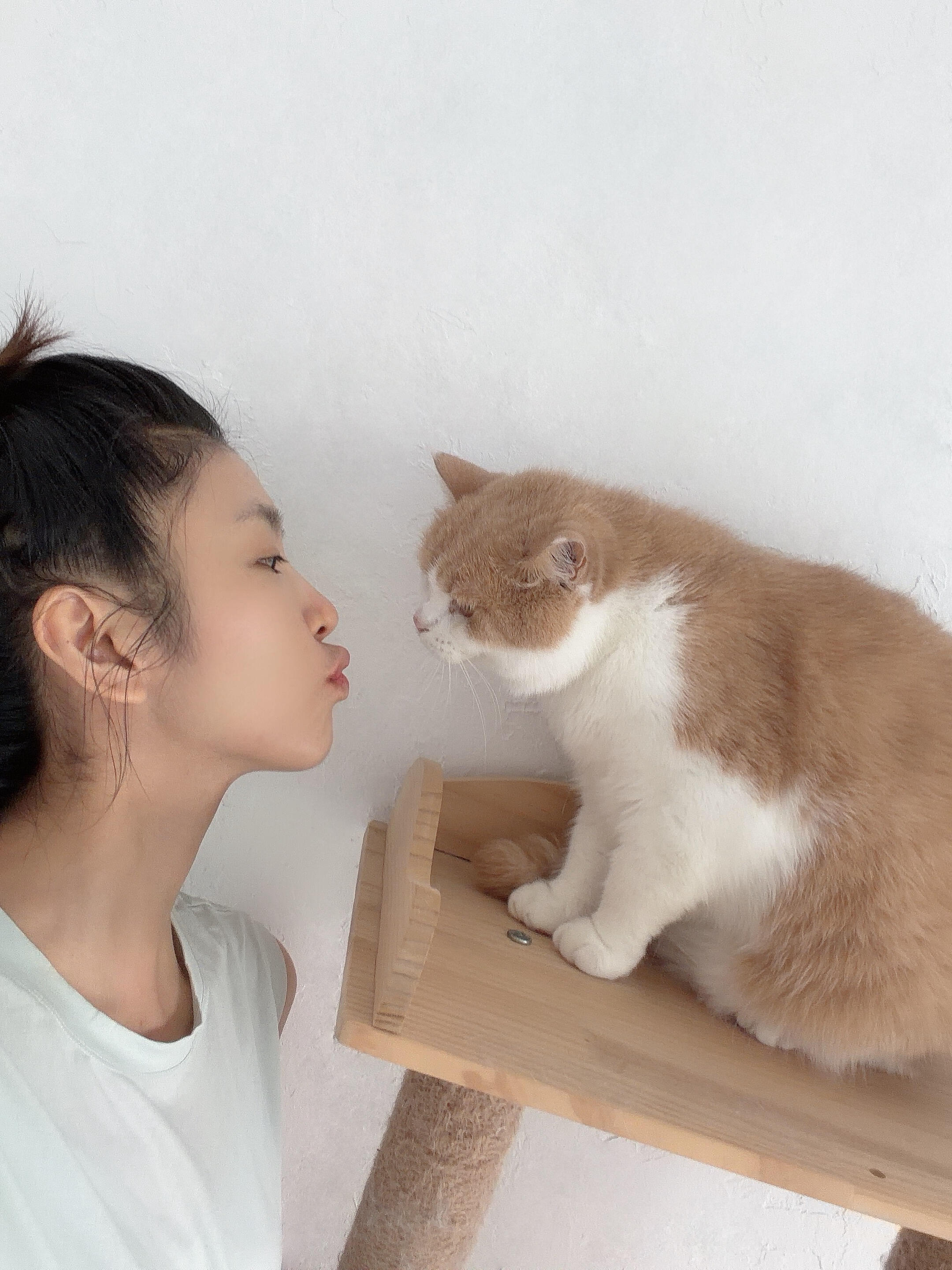 李云霄和小猫咪