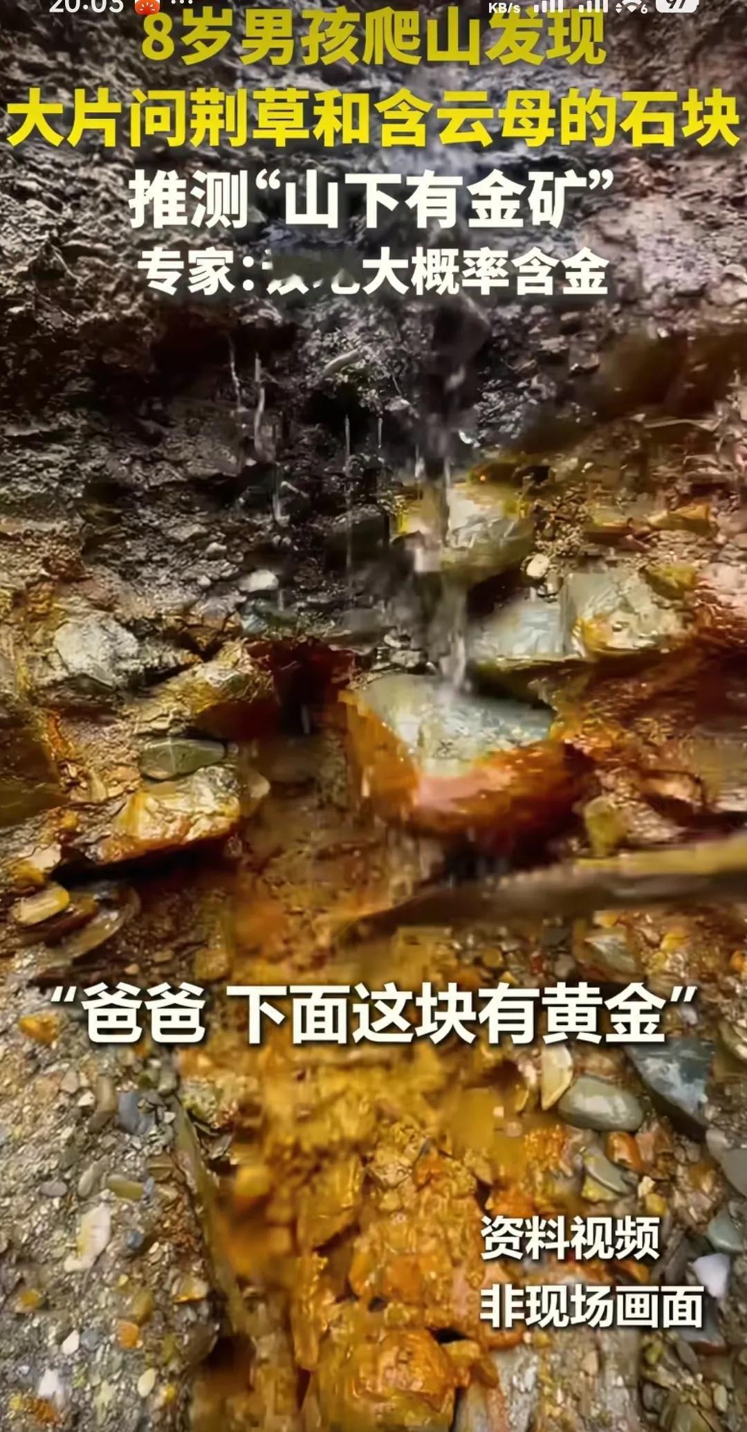 太厉害了，上人民日报了！​大连8岁的男孩和他的父亲孙先生爬山的时候，发现一个地