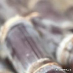 甘蔗的种植方法1、挑选种植挑选种植主要是根据甘蔗的生长情况来决定的，需要选择比较