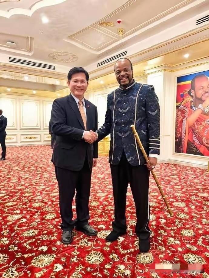 林佳龙为了去斯威士兰吃席，全程保密，反复横跳，先是绕道奥地利维也纳并乘私人包机秘