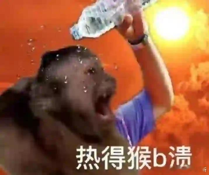 一些适合天气热的时候发的表情包🫰🏻​​​