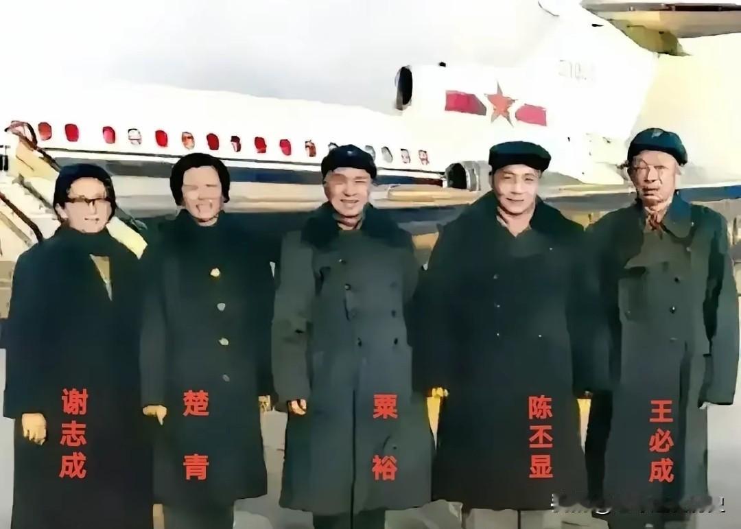 这张合影定格了几位老战友的重逢时刻：左起谢志成、楚青、粟裕、陈丕显、王必成。身