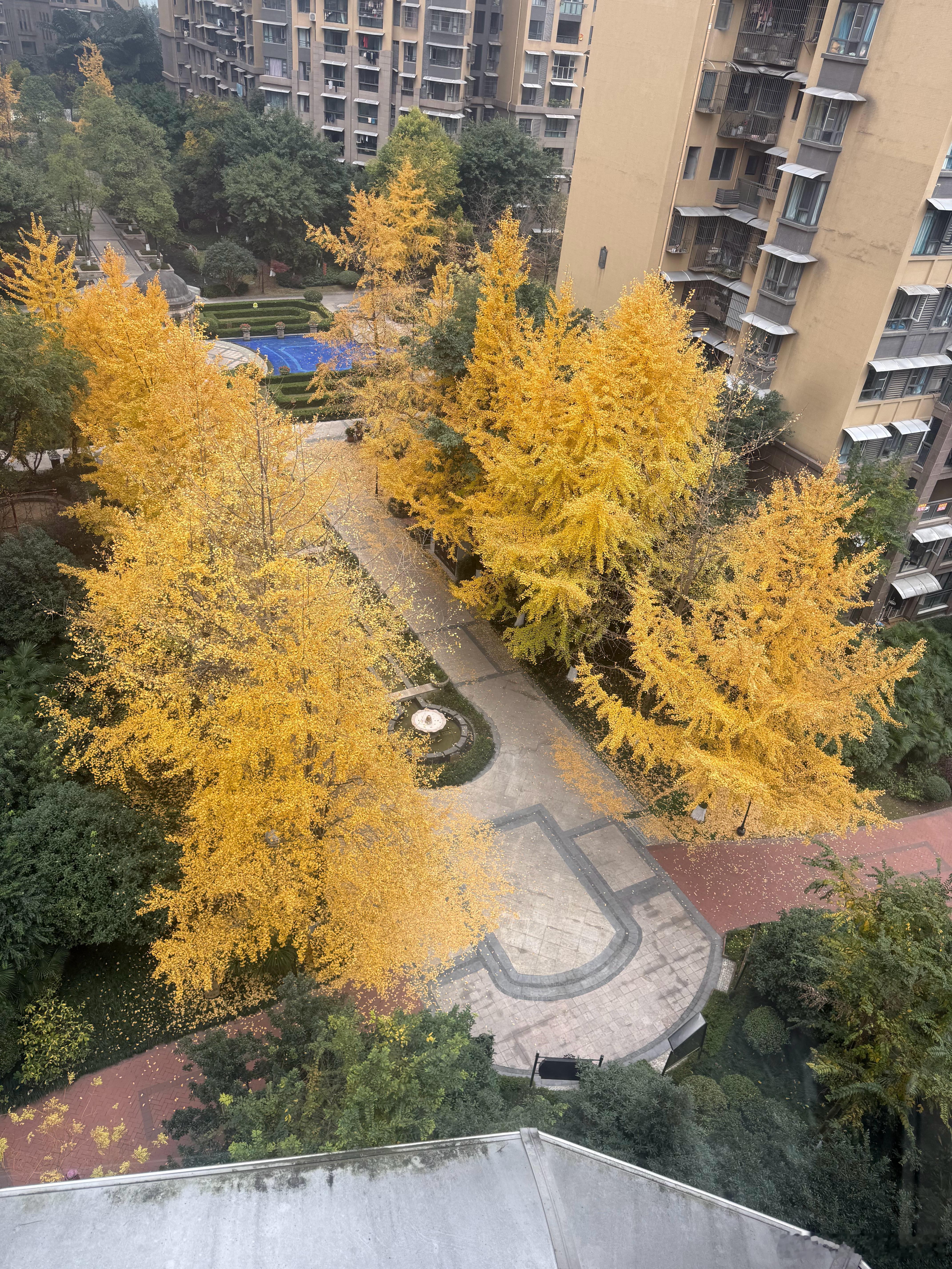 四川的冬天是最难熬的，雨水多，日照时间少，阴冷潮湿，很多时候家里比外面还冷，北方