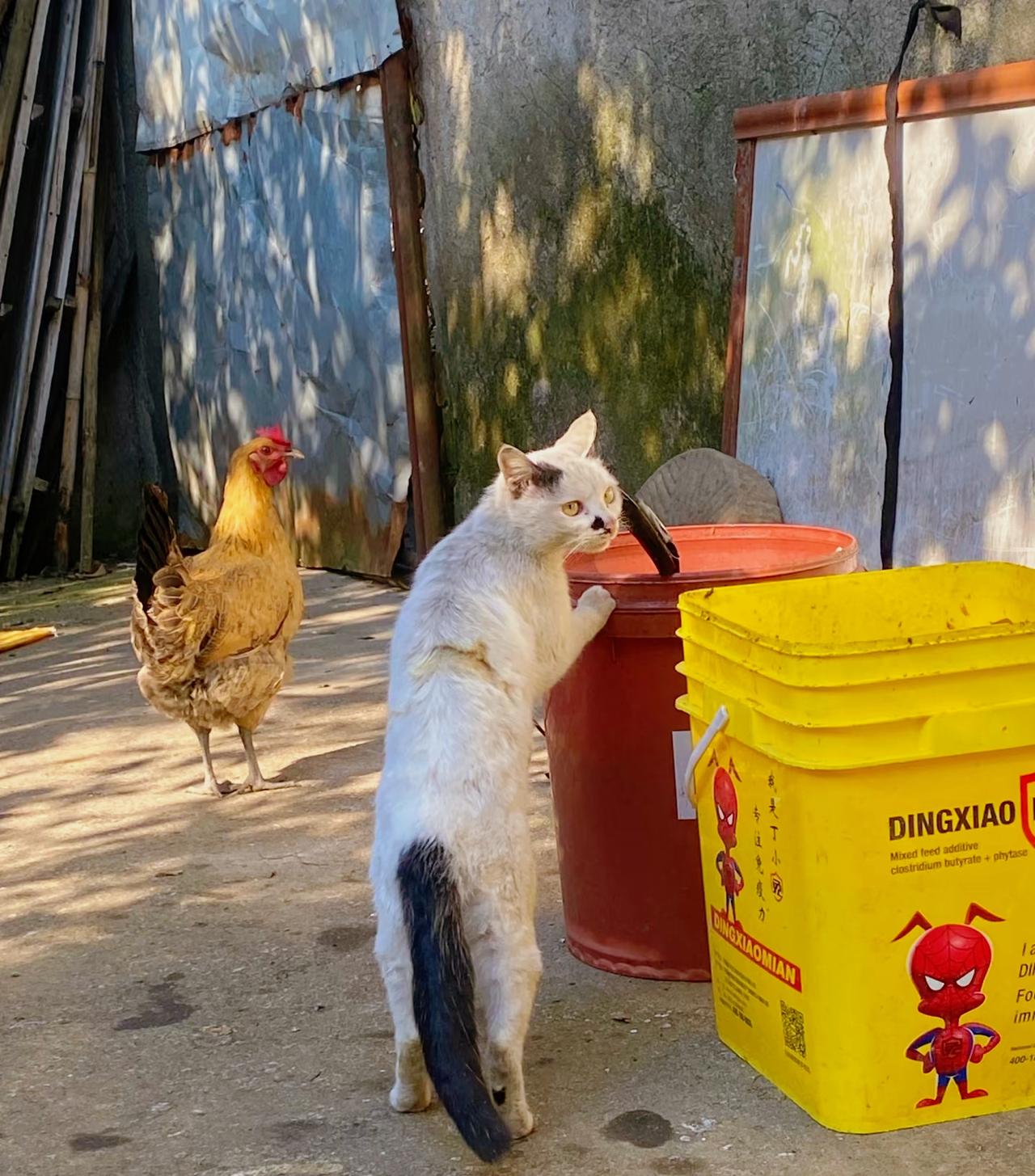 ：）想钱，想女人的男人，才是正人君子，不敢想，不敢说的男人，都是废物。