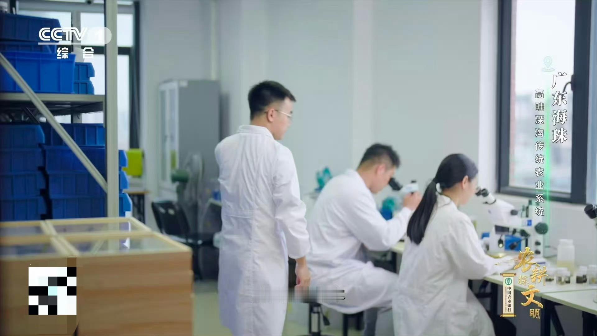 广东近年发现多个新物种被海珠微瓢虫可爱到了！这种比芝麻还小的新物种，在广州海珠