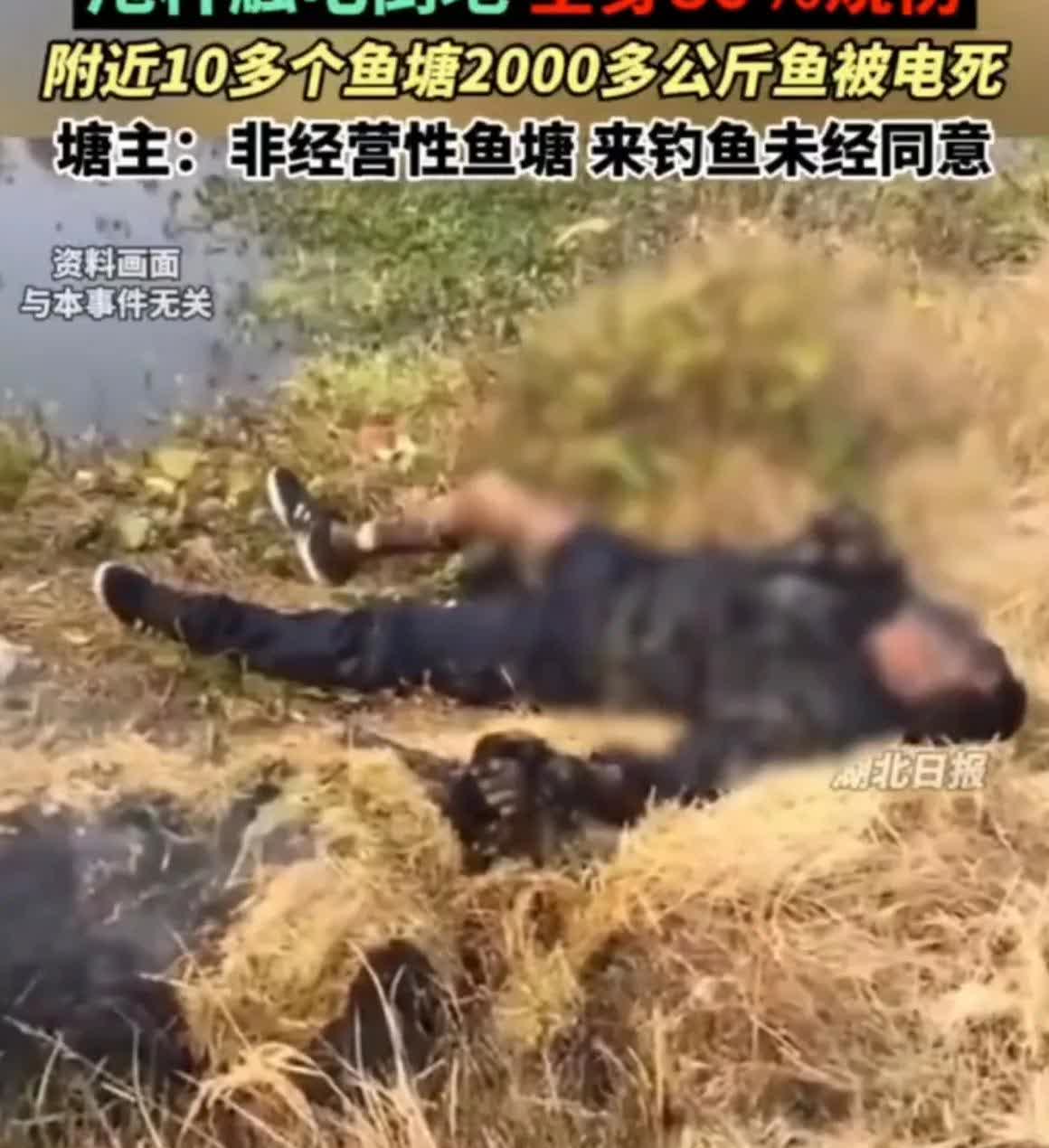 广西桂林鱼塘出大事！男子偷钓挂高压线烧成重伤还电死四千斤鱼责任纠纷没完没了