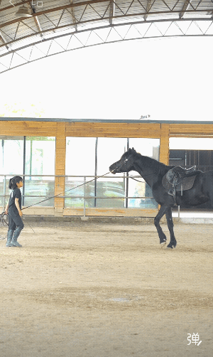 这不是一般家庭…[赞][玫瑰]