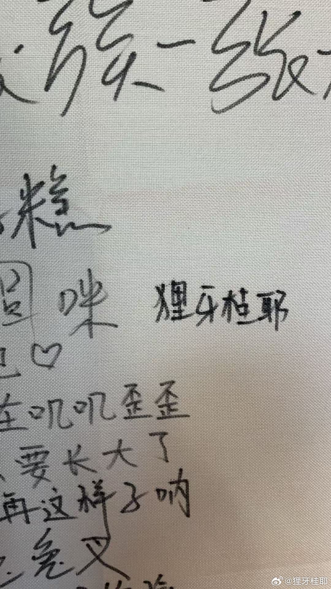 狸牙桂耶一日游