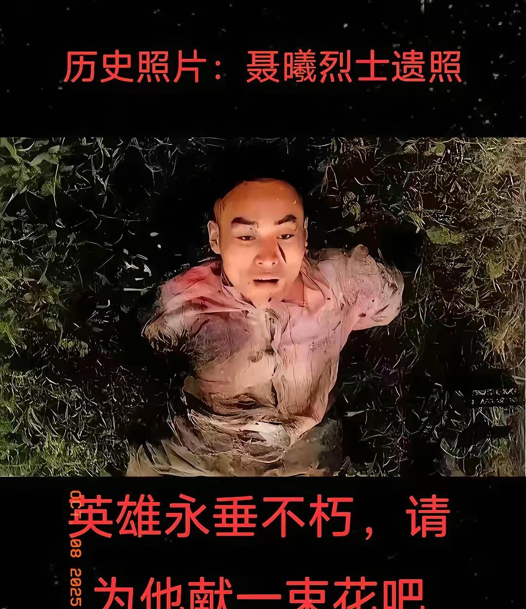 聂曦真是个谜明明是刀尖上跳舞的活儿，他却做得滴水不漏，连身边人都未必知道他的真