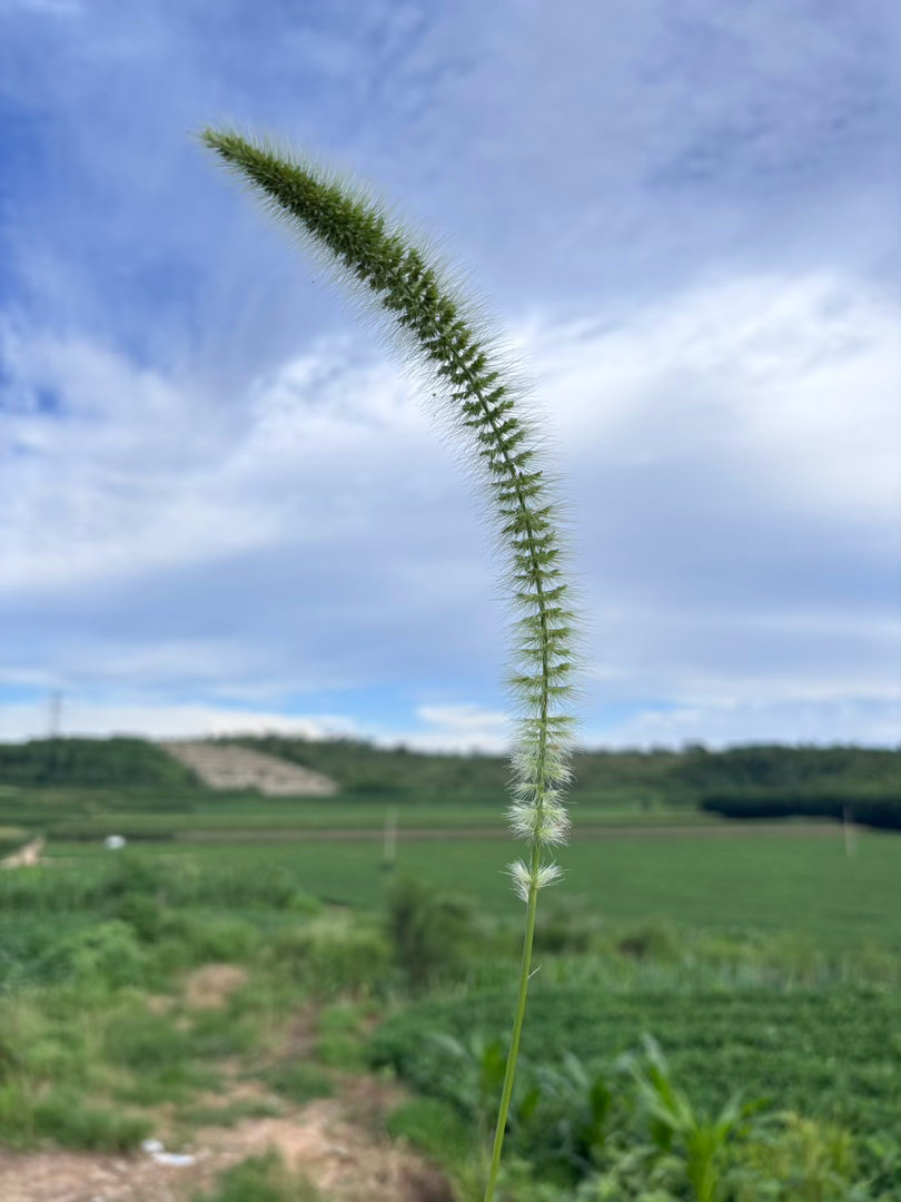 晚安。