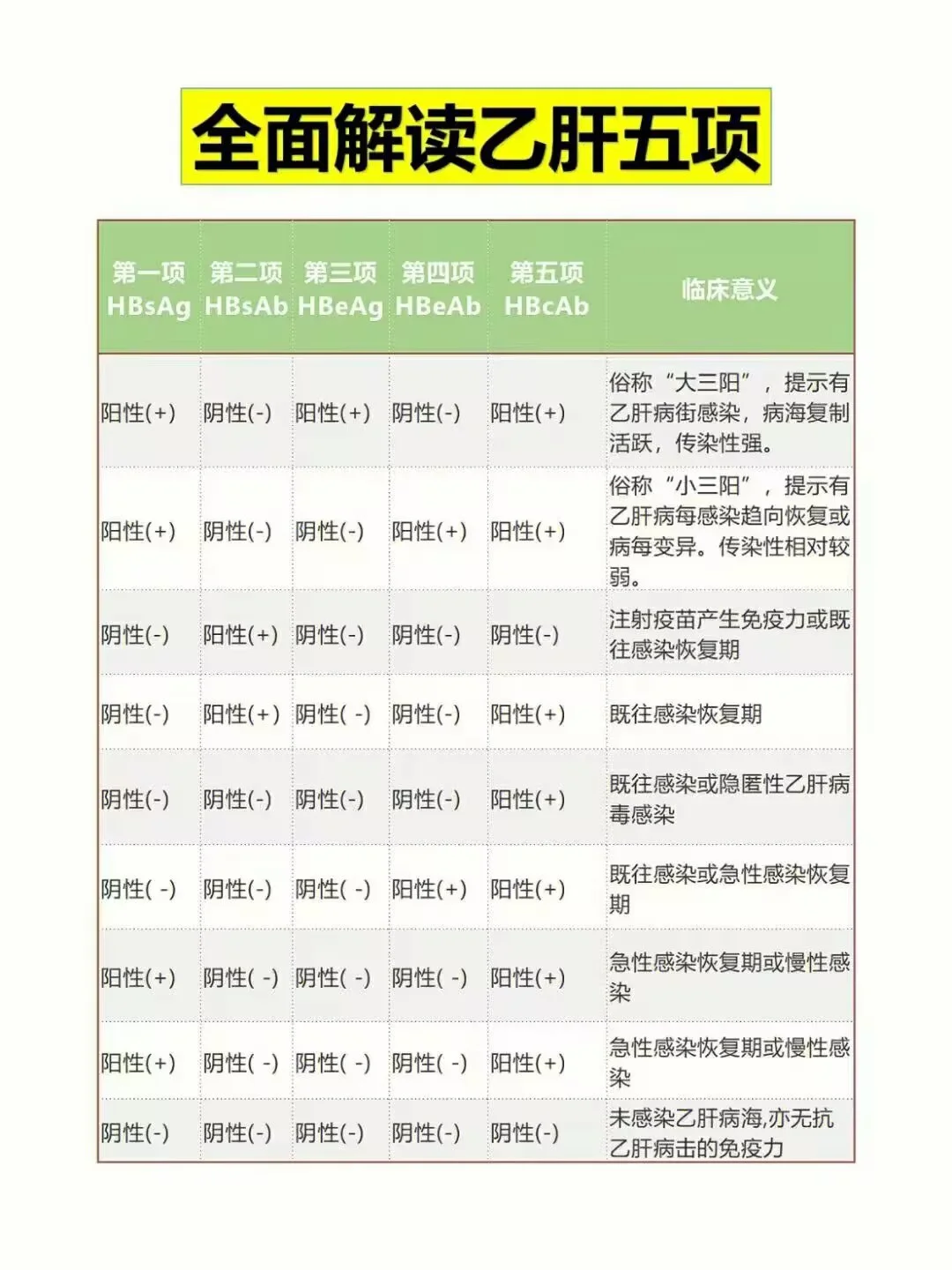 乙肝解读