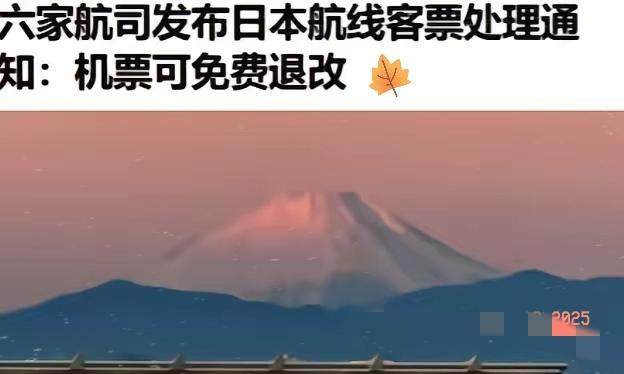 一觉醒来，估计赴日游客哭晕在厕所不是因为航班取消了；也不是因为行程打乱啦；而是