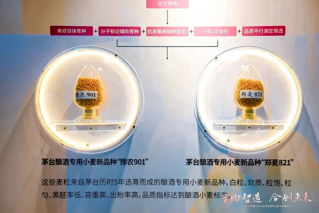 白酒25亿研发投入, 都用在哪儿了?