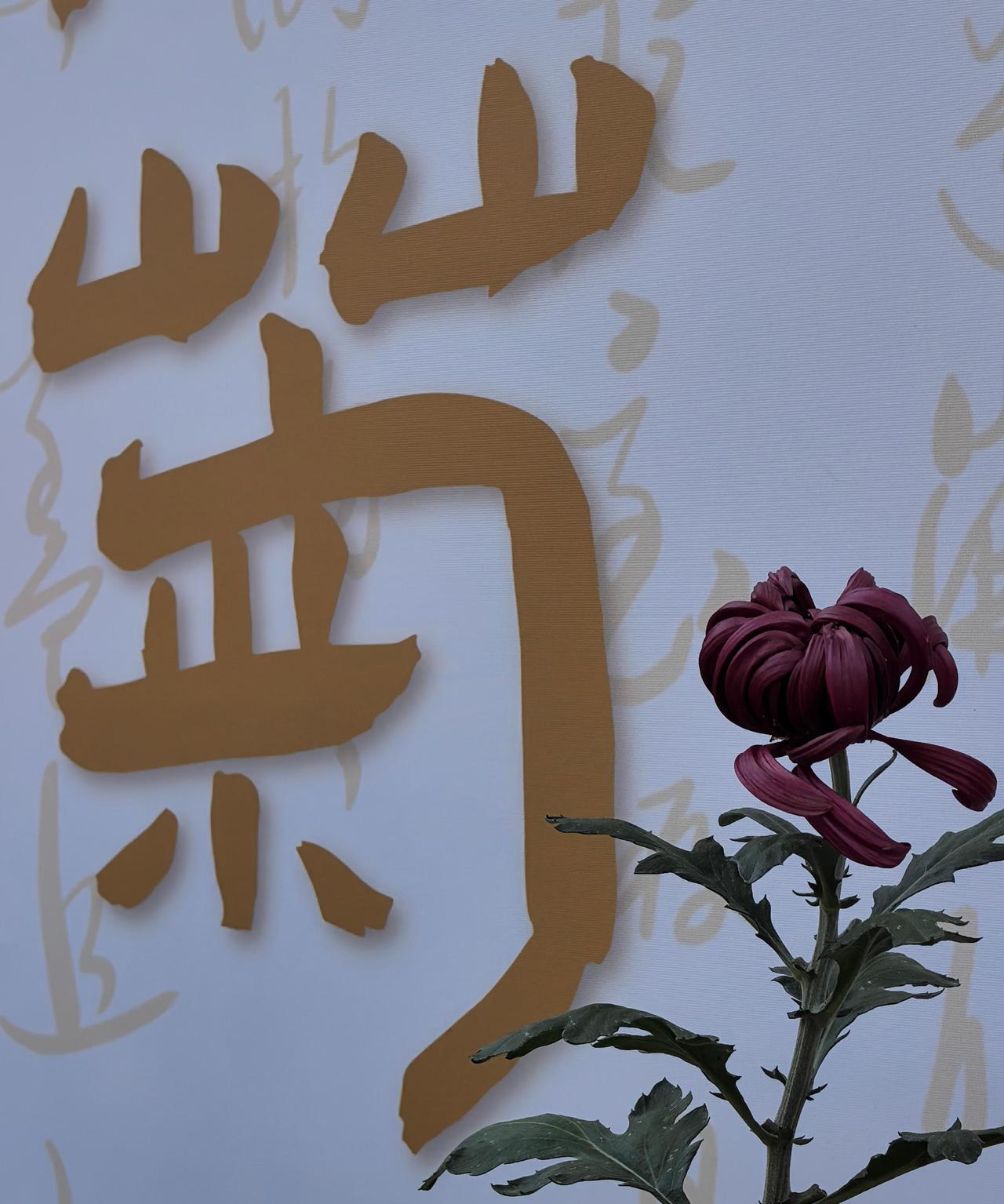 快讯！快讯！据媒体报道，中俄双方近日宣布了扩大能源与交通协作安排。在