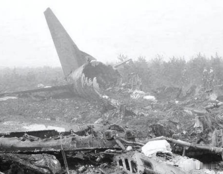 1946年4月8号，黑茶山空难，博古、王若飞、邓发、叶挺。这几个人，个个都是中央