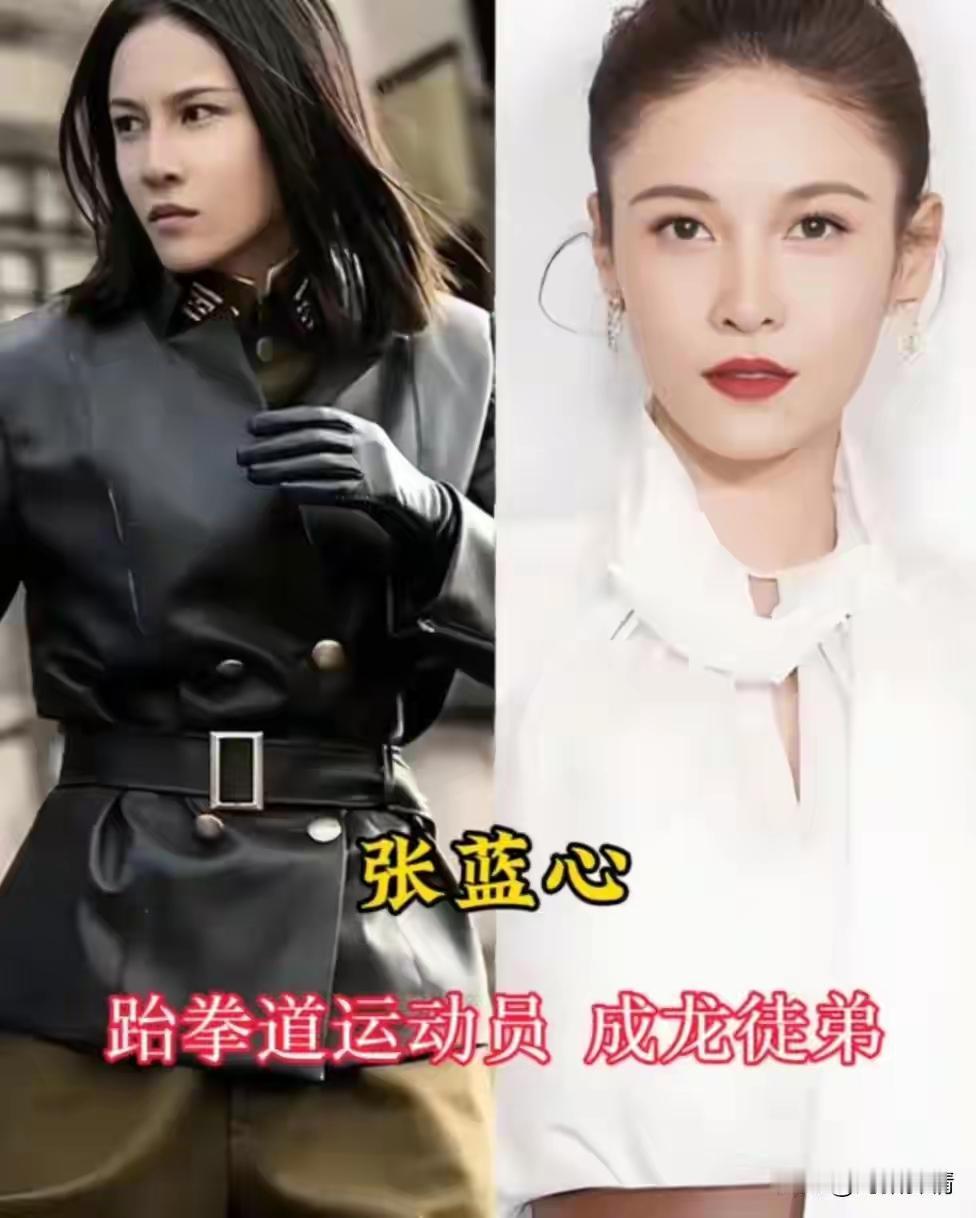 娱乐圈会真功夫的10位“武打女星”