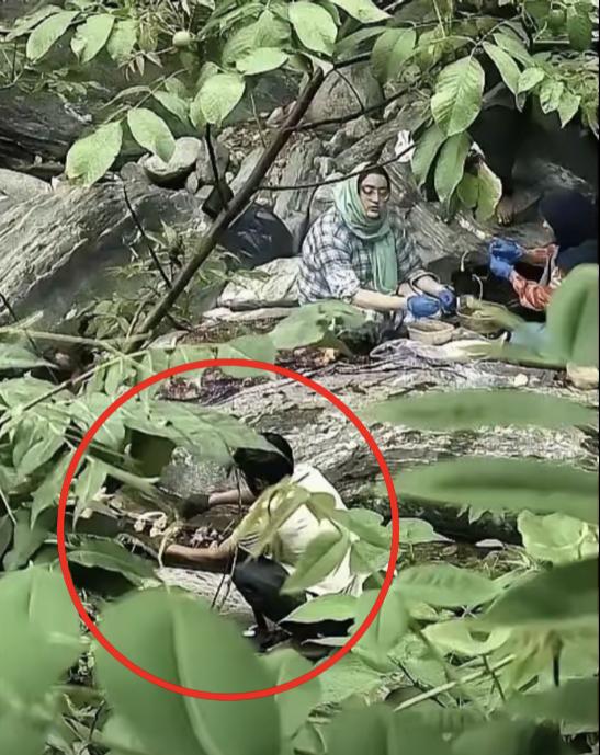 西安秦岭景区多名外籍人员私闯密林野炊，无视禁火规定，涉嫌违规野外用火！今年端午假