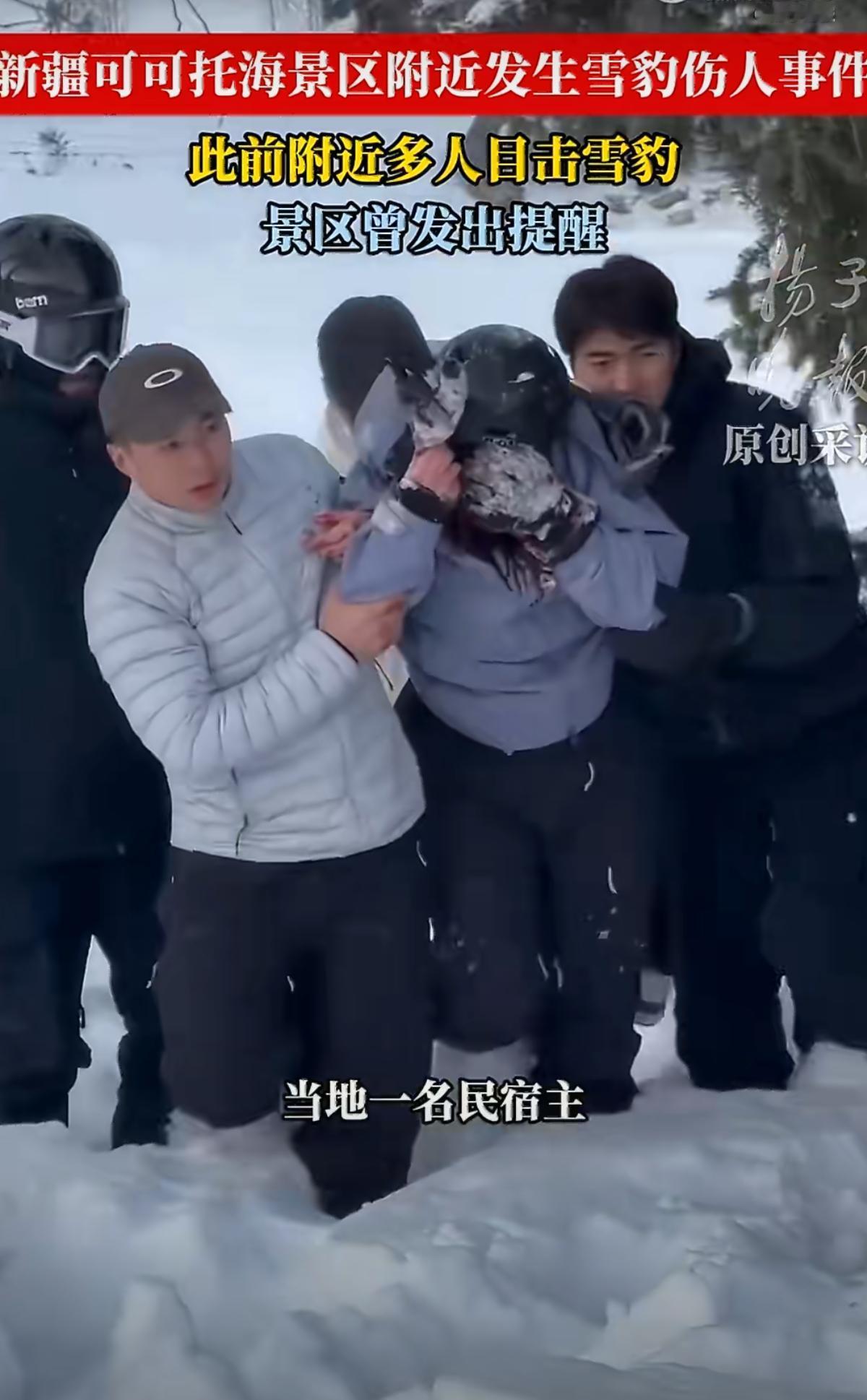 可可托海有游客被雪豹咬了……绝了，觉得生态变好了什么动物都能近距离接触？网