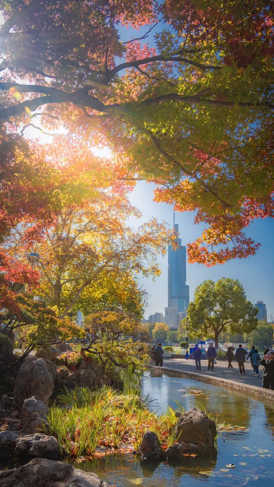 自古金陵多秋意，半城山色半城诗。南京13个地方秋日拍照打卡攻略， 1️...
