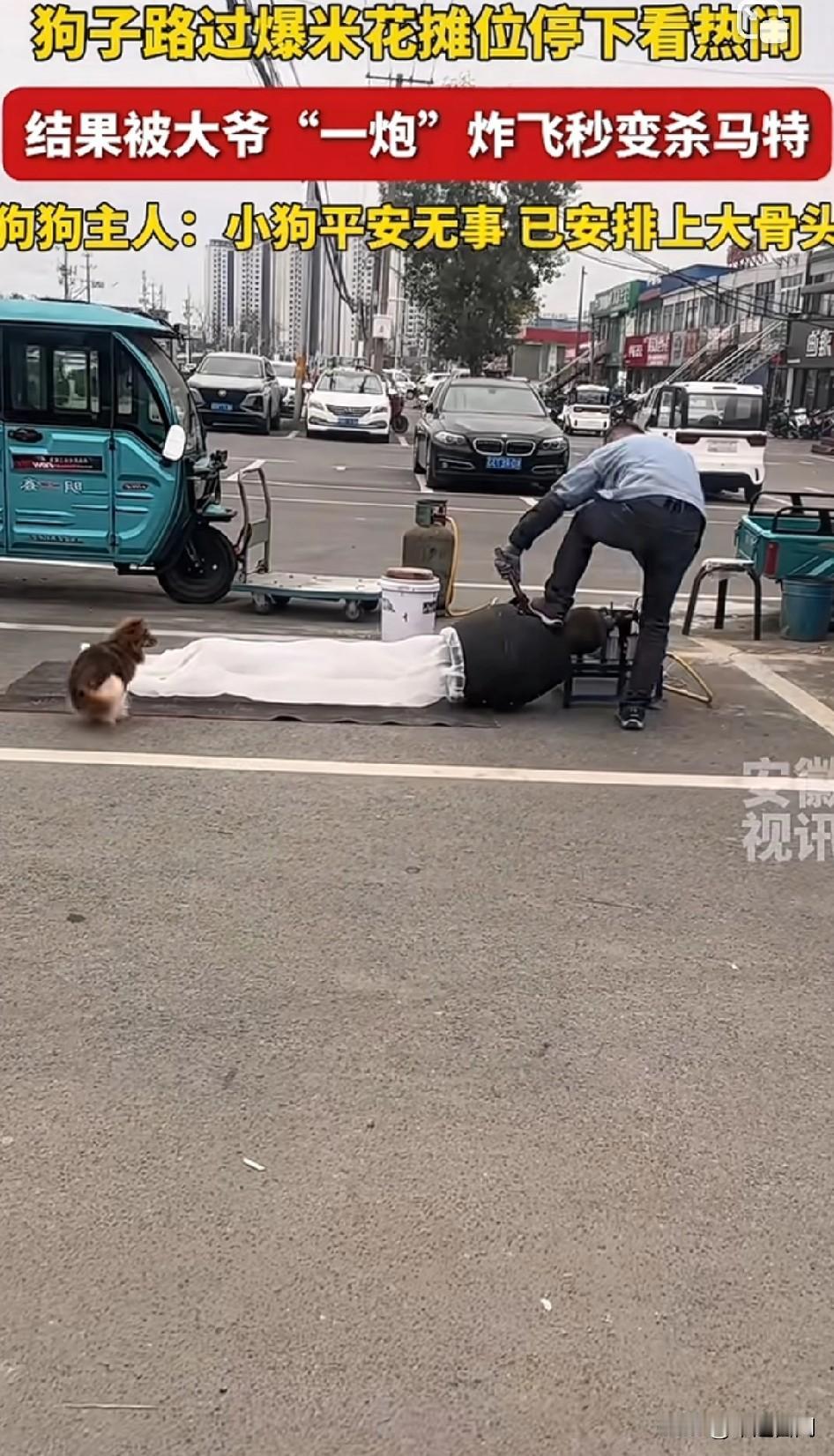 好奇的狗子后续[捂脸哭]狗子路过爆米花摊位停下看热闹,结果被大爷“一炮”炸飞秒变