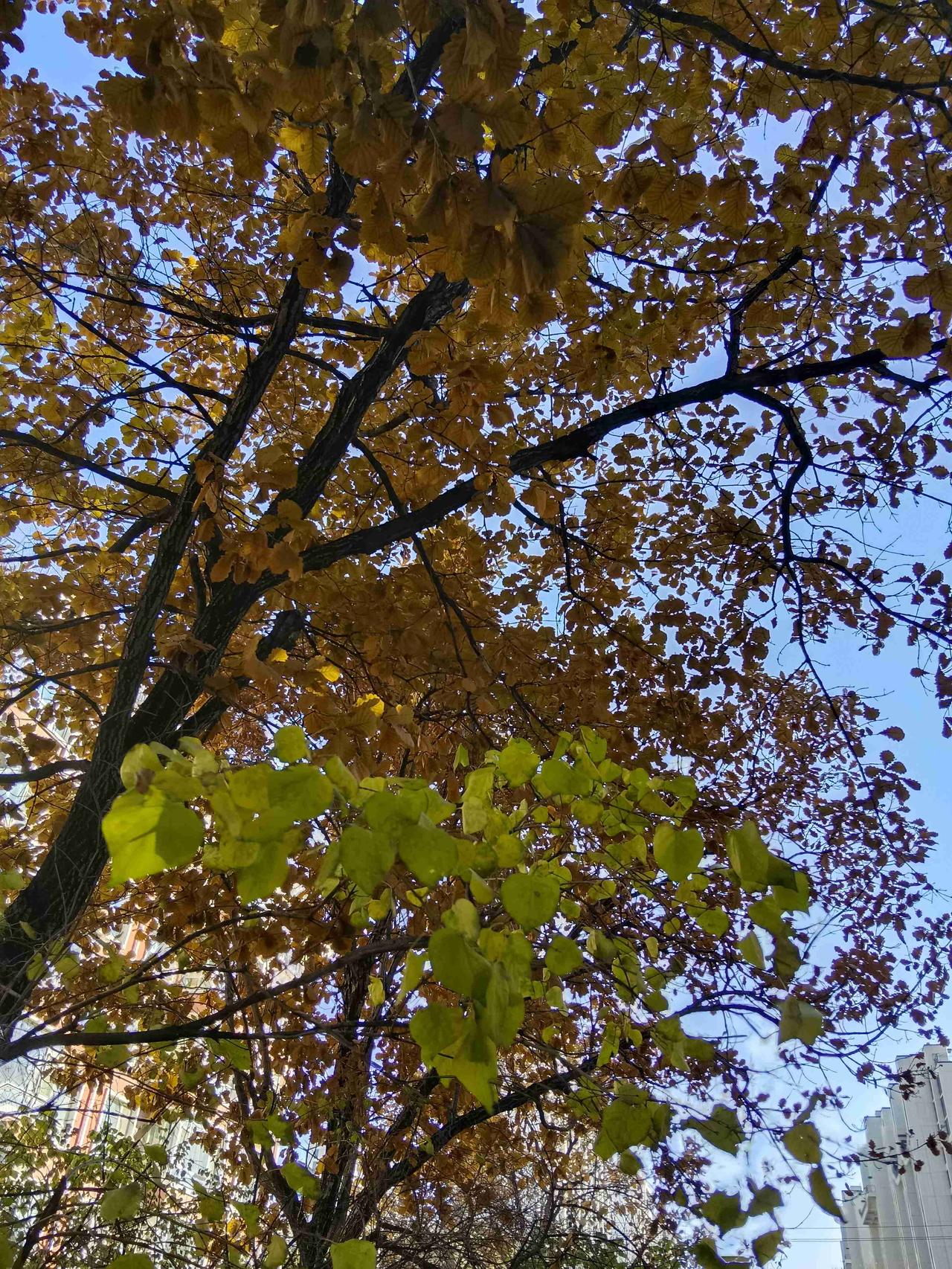 人生没有输赢，只有值不值得，经历过的事，都是成长的养分，要么收获，要么领