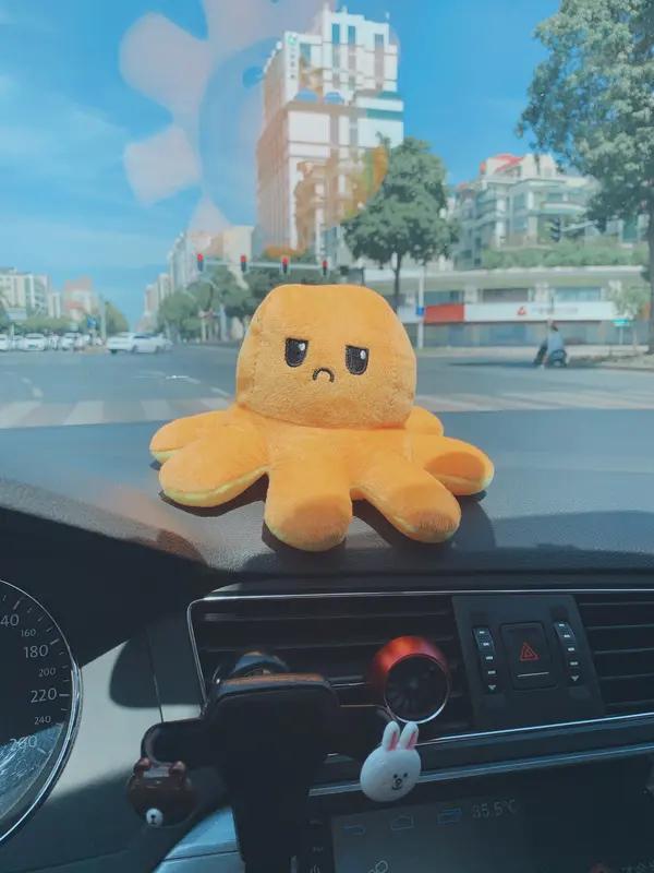 山东这位车主真是经历了一场“噩梦”。买的八爪鱼放车上没密封，结果钻进车内失踪3天