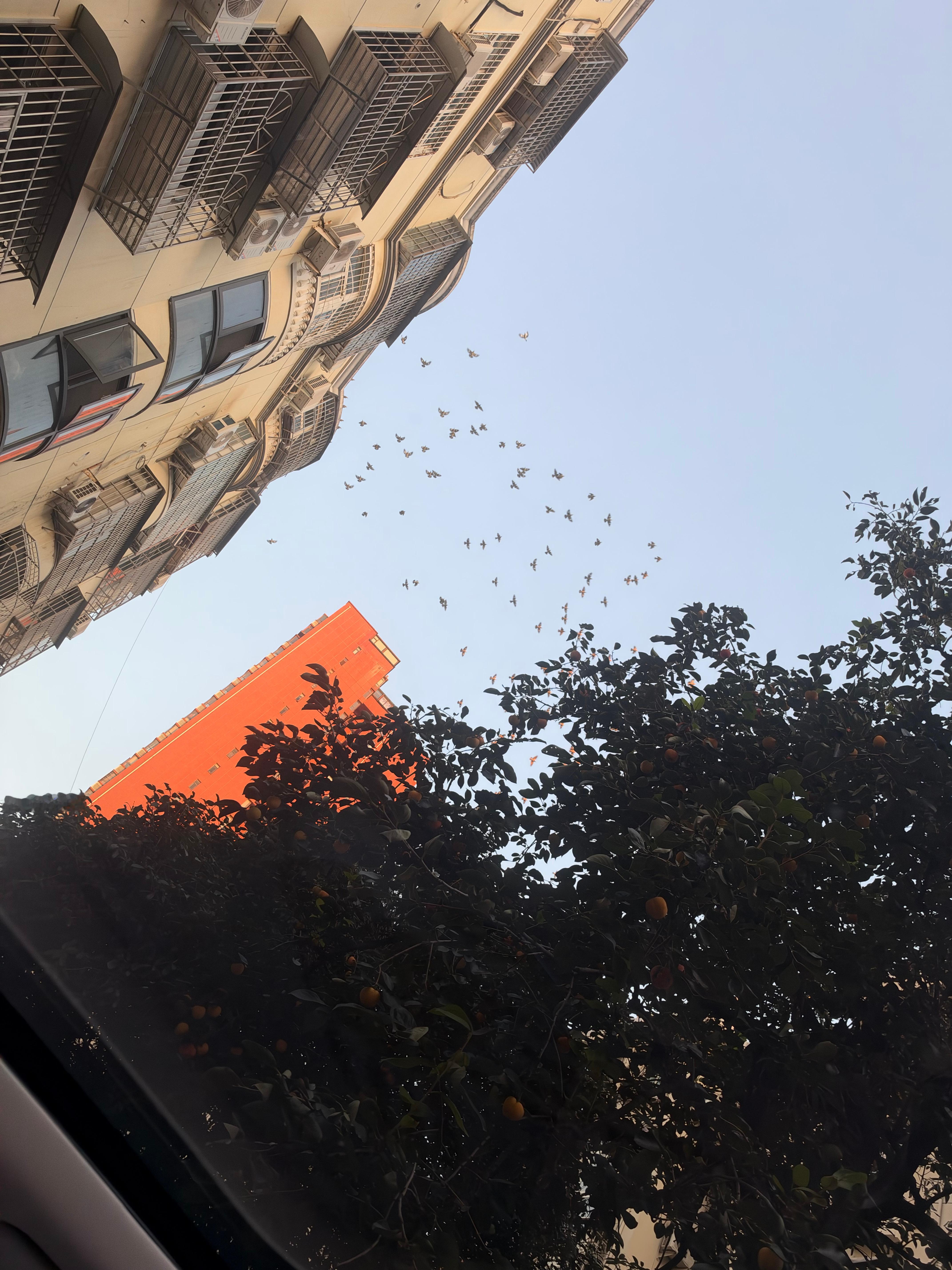 如果再换车，一定换一台后排更舒服的，车里休息对我来说占比太高，理想i8二排其实还