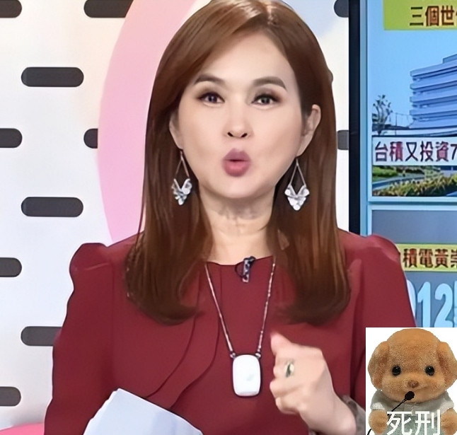一个台湾女主持人从大连回来之后，在节目里咆哮：我不是说大陆比台湾好，但是拜托，你