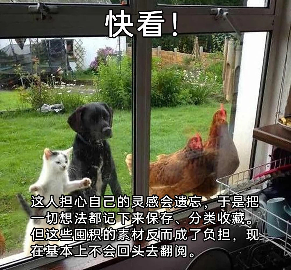 怎么又被骂​​​