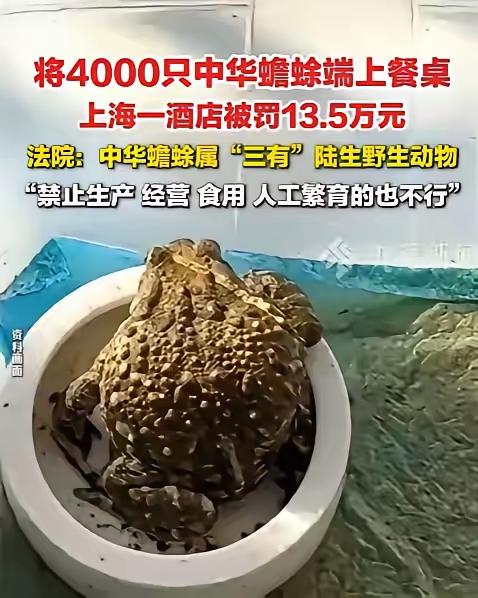 聪明反被聪明误！”上海，一家酒店为了提高收入，40天内疯狂购入4000只中华蟾蜍