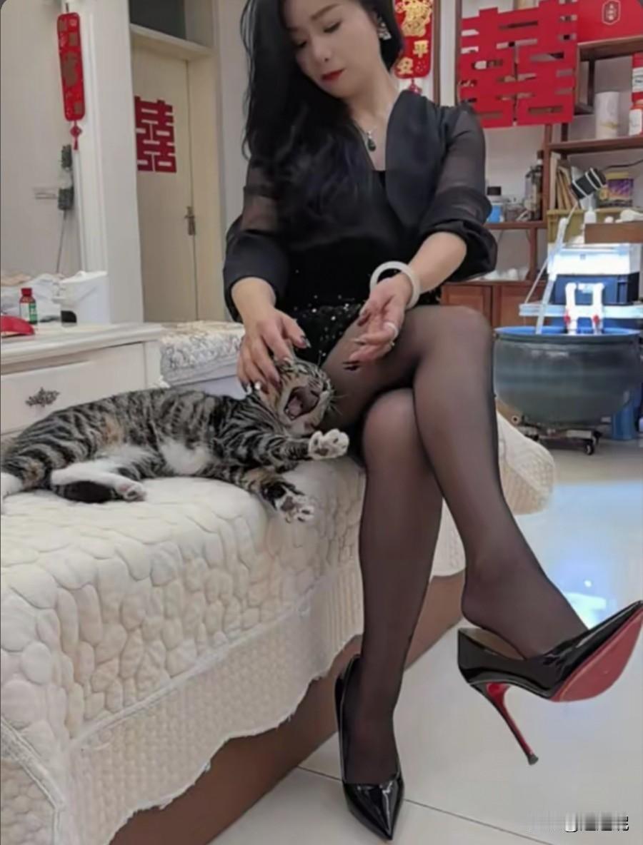猫咪抓狂会不会伤人?