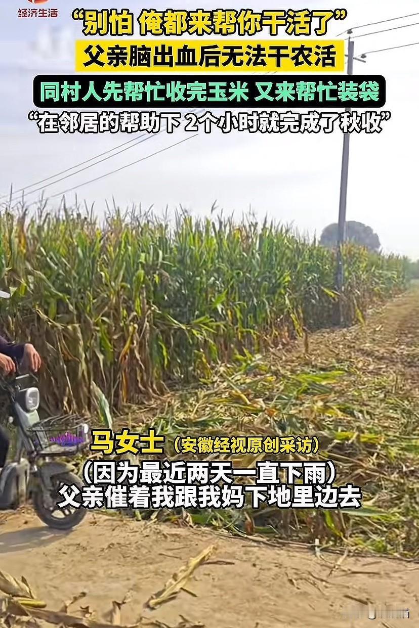 河北邯郸，女子父亲脑出血后无法下地干农活，眼看秋收在即，父亲心急如焚，催着女子下