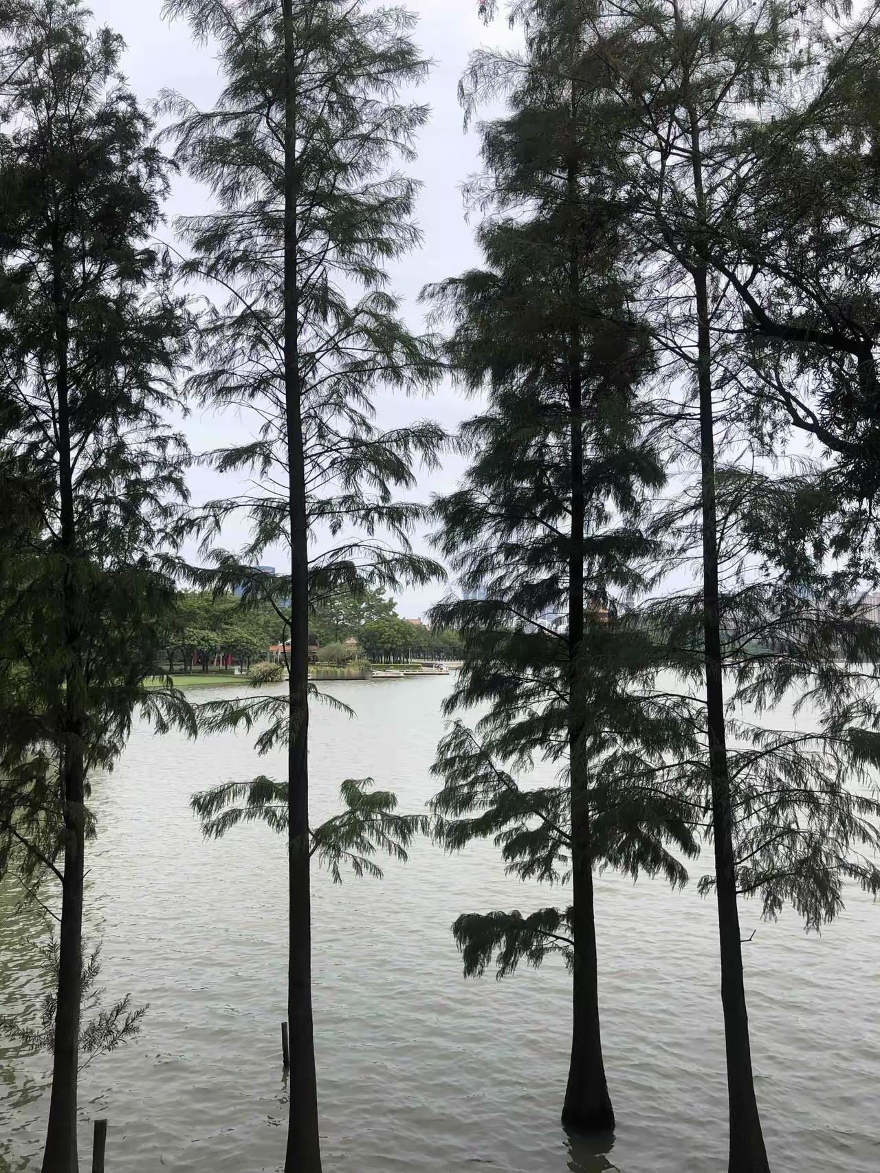 国家应该立即全面禁止劳务派遣。劳务派遣原本是为了降低企业劳动力成本而创设的一个