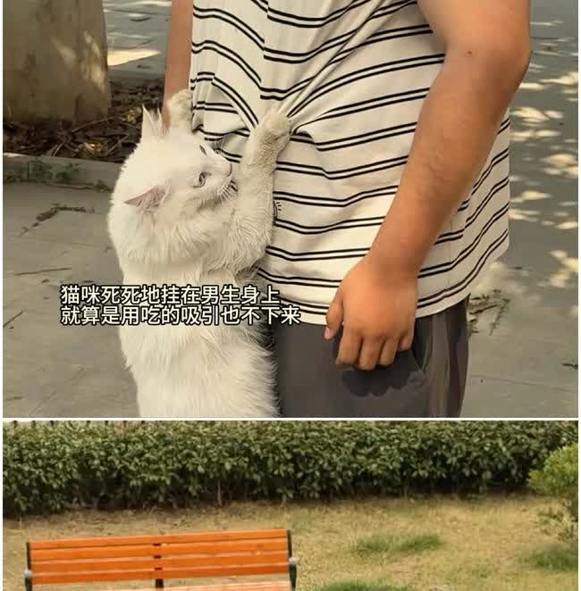 太奇怪了！男子在寺庙上完香，靠在石狮边上等同行的朋友出来，突然一只白色的猫咪跳到